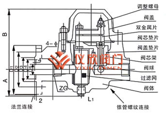 双金属热静力疏水阀结构图